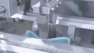 180NG Premade Pouch Packaging Machine for Powder