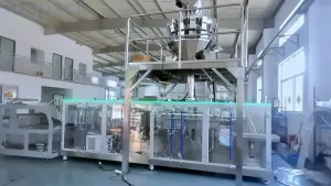 Stand-Up Pouch HFFS Packaging Machine, 1-Nozzle Filling