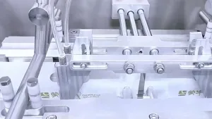 Servo Driven Premade Pouch Packaging Machine (2-Nozzle Filling)