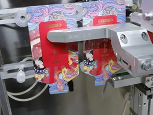 Pouch pick-up & filling section