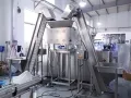 Premade Pouch Packaging Machine, 2-Nozzle Filling