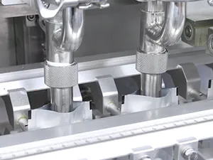 Servo Driven Rollstock Spouted Pouch Packaging Machine, 2-Nozzle Filling