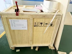 Customer Case Studies