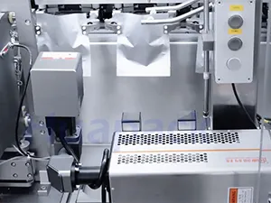 Servo Driven Rollstock Zipper Pouch Packaging Machine, 2-Nozzle Filling